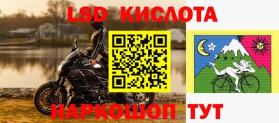шишки Донской