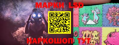 шишки Донской