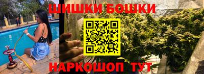 гашик Дубна