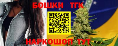 гашик Дубна