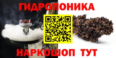 гашик Дубна