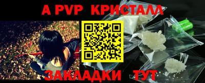 шишки Донской
